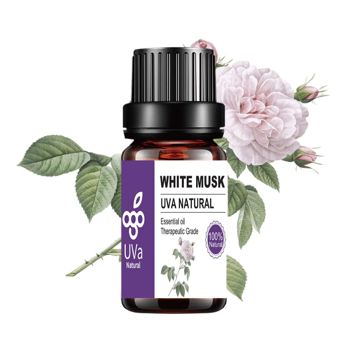 Aceite Esencial de Almizcle blanco