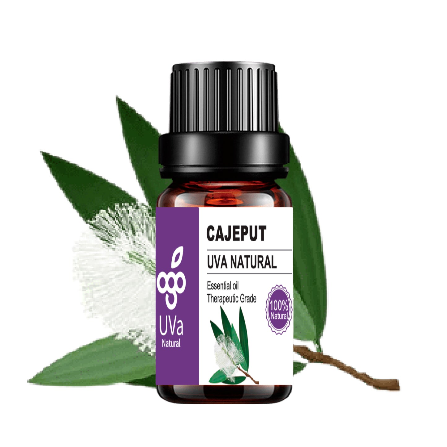 Aceite Esencial de Cajeput