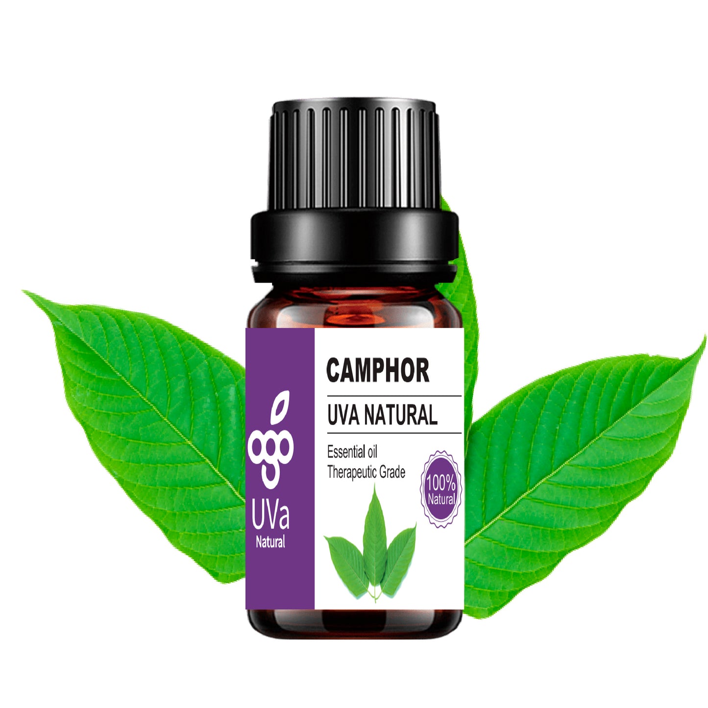 Aceite Esencial de Alcanfor