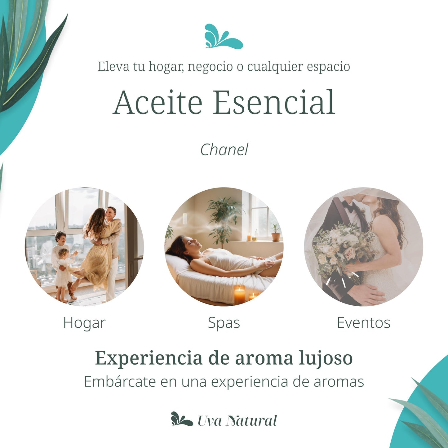 UVA NATURAL - Aceites Esenciales para Difusor de Aire Frío - Aromas de Lujo para el Hogar o Negocio - Aroma de Hotel Collection - Marketing Olfativo - Inspirado en Hoteles de Lujo (500 ml, Chanel)