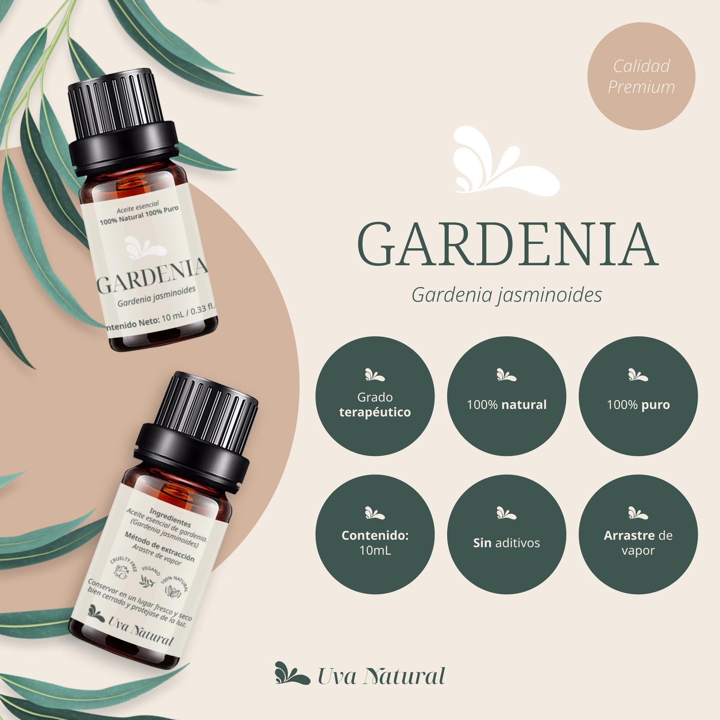 Aceite Esencial de Gardenia