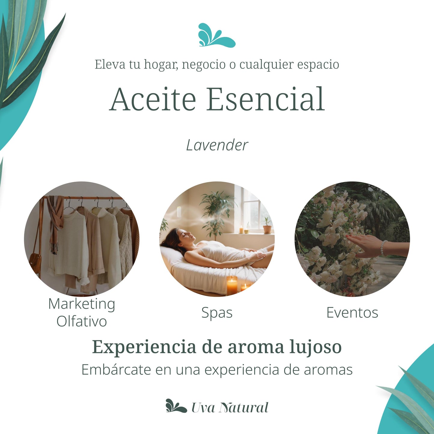 UVA NATURAL - Aceites Esenciales para Difusor de Aire Frío - Aromas de Lujo para el Hogar o Negocio - Aroma de Hotel Collection - Marketing Olfativo - Inspirado en Hoteles de Lujo (500 ml, Lavander)