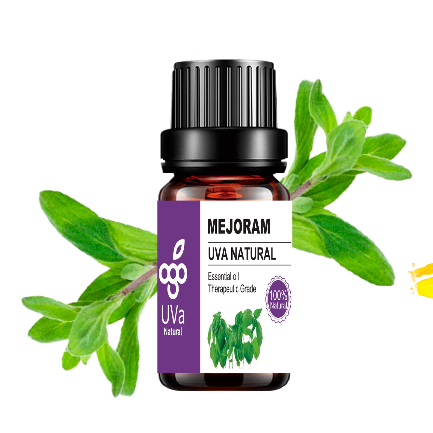 Aceite Esencial de Mejorana