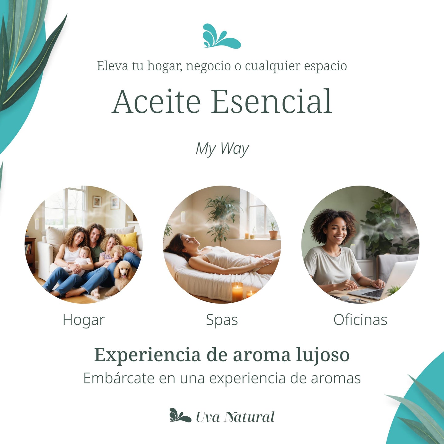 UVA NATURAL - Aceites Esenciales para Difusor de Aire Frío - Aromas de Lujo para el Hogar o Negocio - Aroma de Hotel Collection - Marketing Olfativo - Inspirado en Hoteles de Lujo (500 ml, My Way)