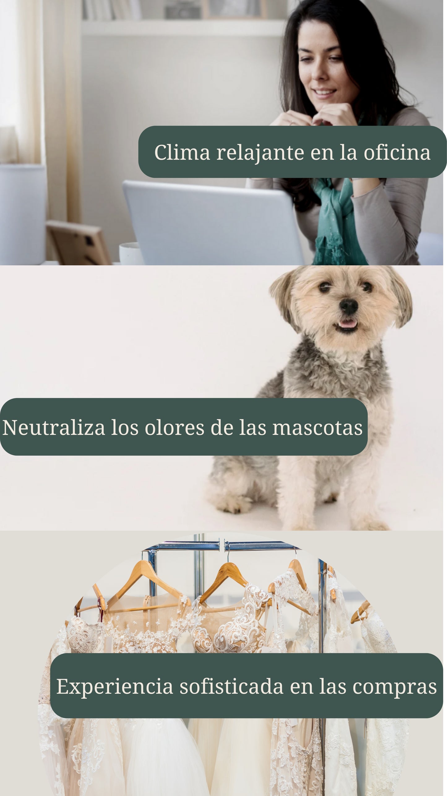 UVA NATURAL - Aceites Esenciales para Difusor de Aire Frío - Aromas de Lujo para el Hogar o Negocio - Aroma de Hotel Collection - Marketing Olfativo - Inspirado en Hoteles de Lujo (500 ml, Zea Green Bamboo)