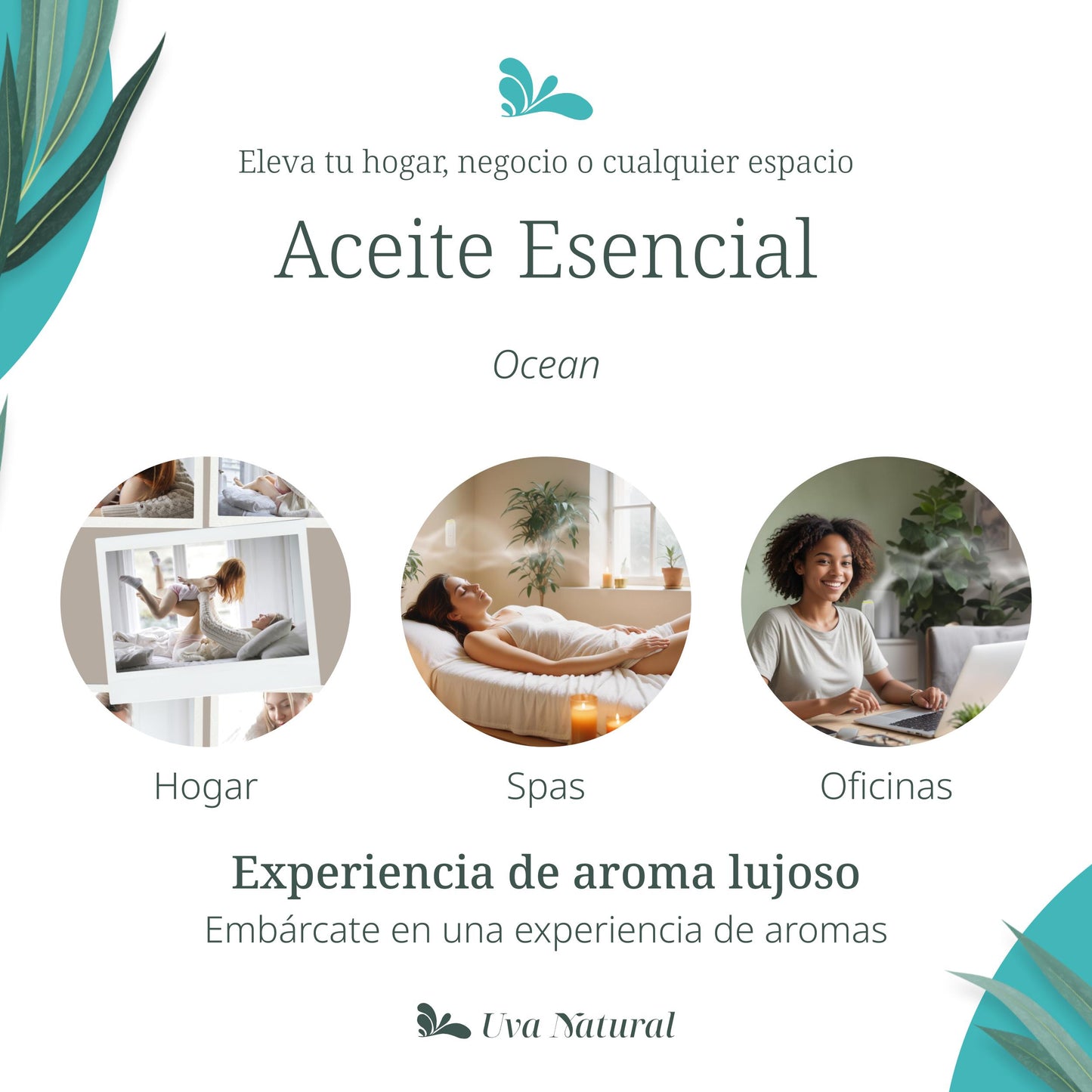UVA NATURAL - Aceites Esenciales para Difusor de Aire Frío - Aromas de Lujo para el Hogar o Negocio - Aroma de Hotel Collection - Marketing Olfativo - Inspirado en Hoteles de Lujo (500 ml, Ocean)