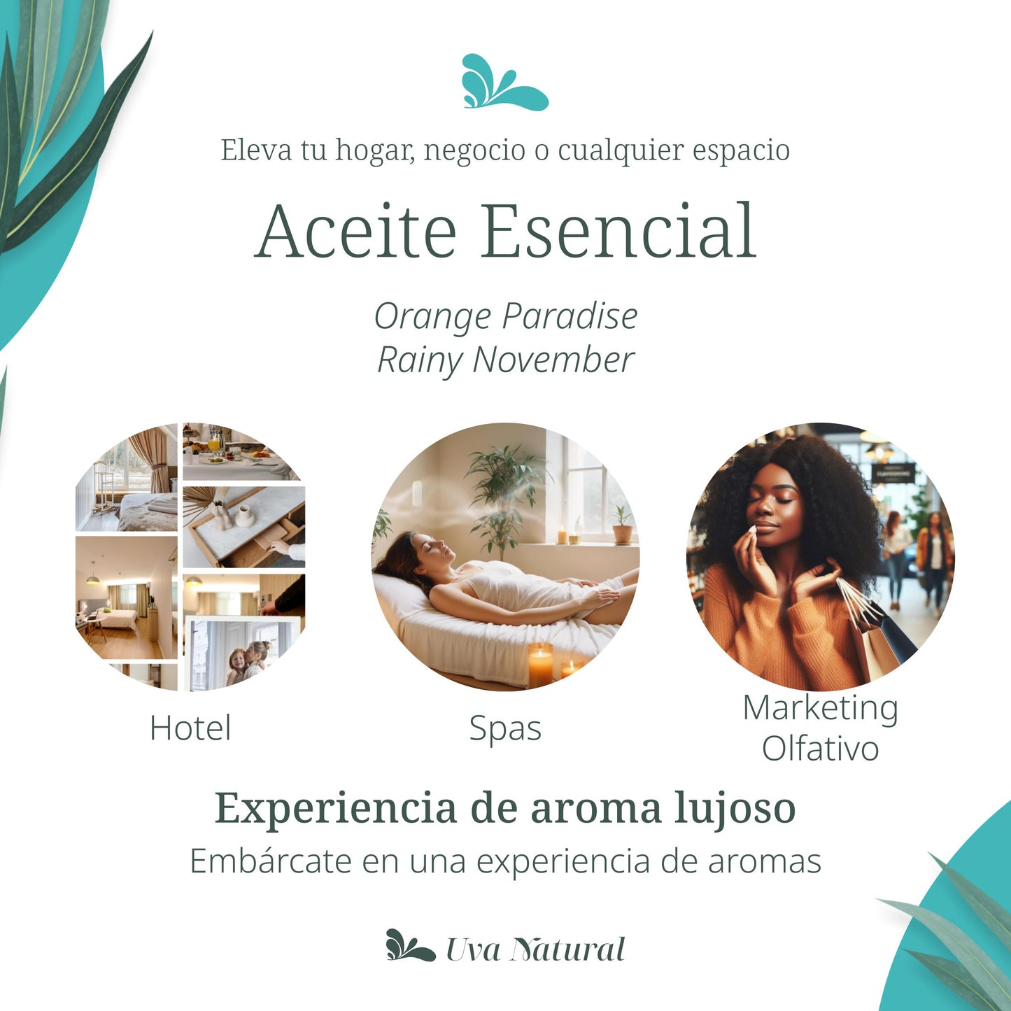 UVA NATURAL - Aceites Esenciales para Difusor de Aire Frío - Aromas de Lujo para el Hogar o Negocio - Aroma de Hotel Collection - Marketing Olfativo - Inspirado en Hoteles de Lujo (500 ml, Orange Paradise)