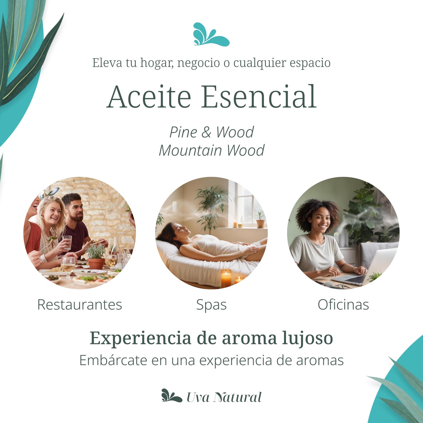 UVA NATURAL - Aceites Esenciales para Difusor de Aire Frío - Aromas de Lujo para el Hogar o Negocio - Aroma de Hotel Collection - Marketing Olfativo - Inspirado en Hoteles de Lujo (500 ml, Pine & Wood)