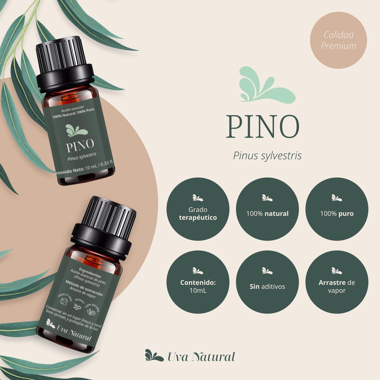 Aceite Esencial de Pino