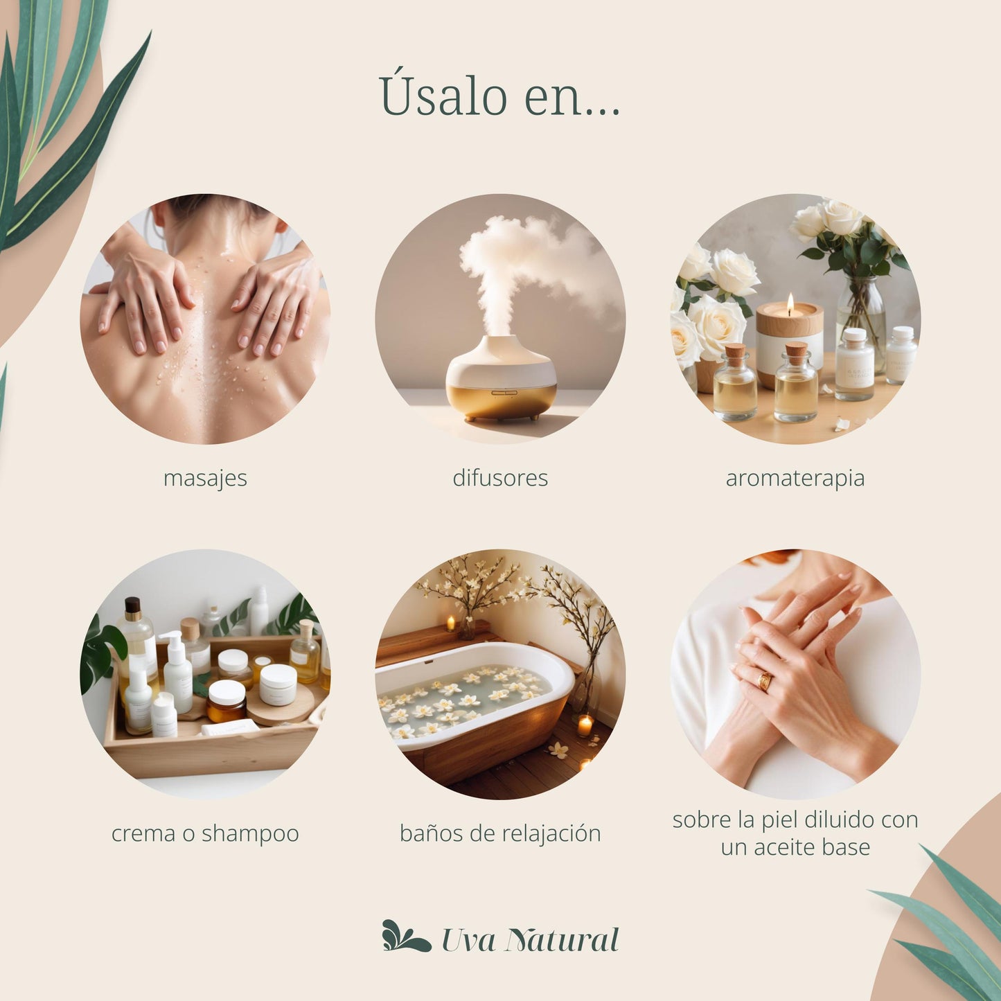 Aceite Esencial de Clavo