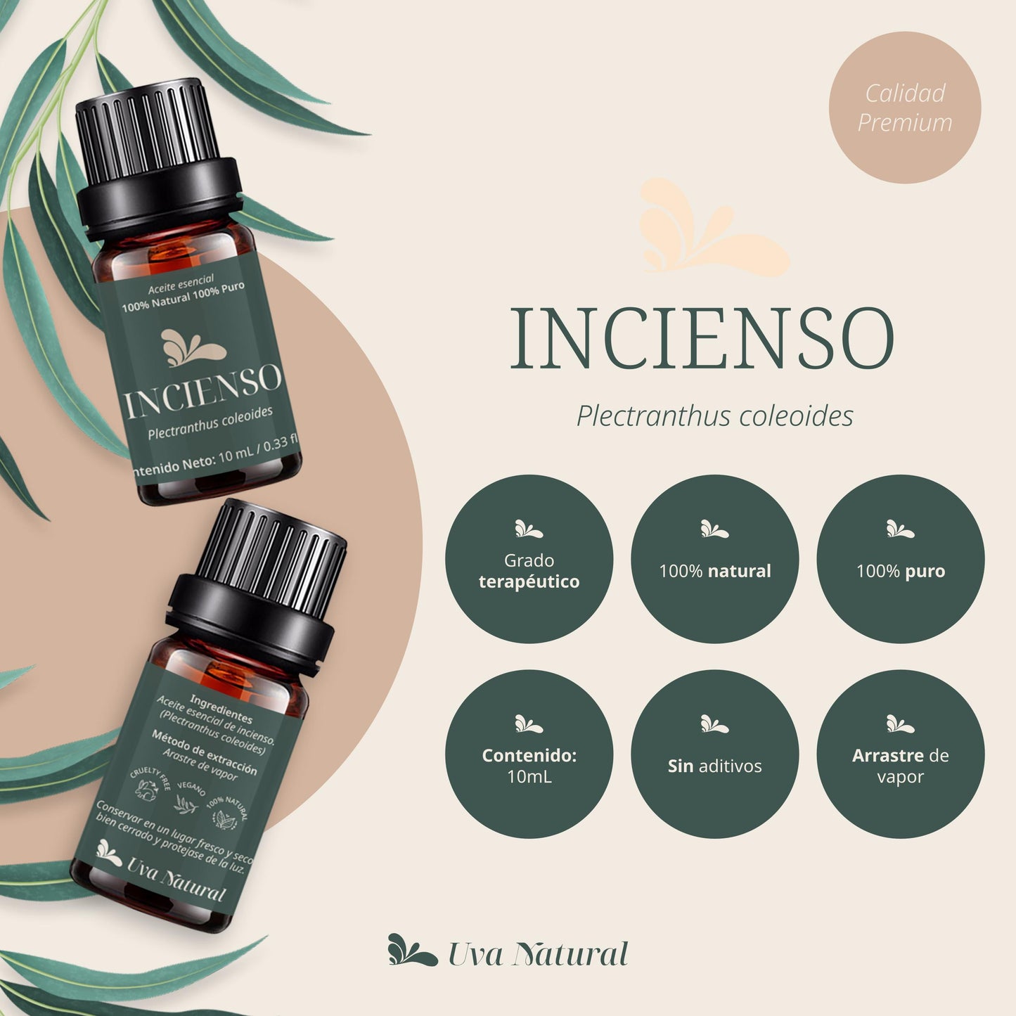 Aceite Esencial de Incienso