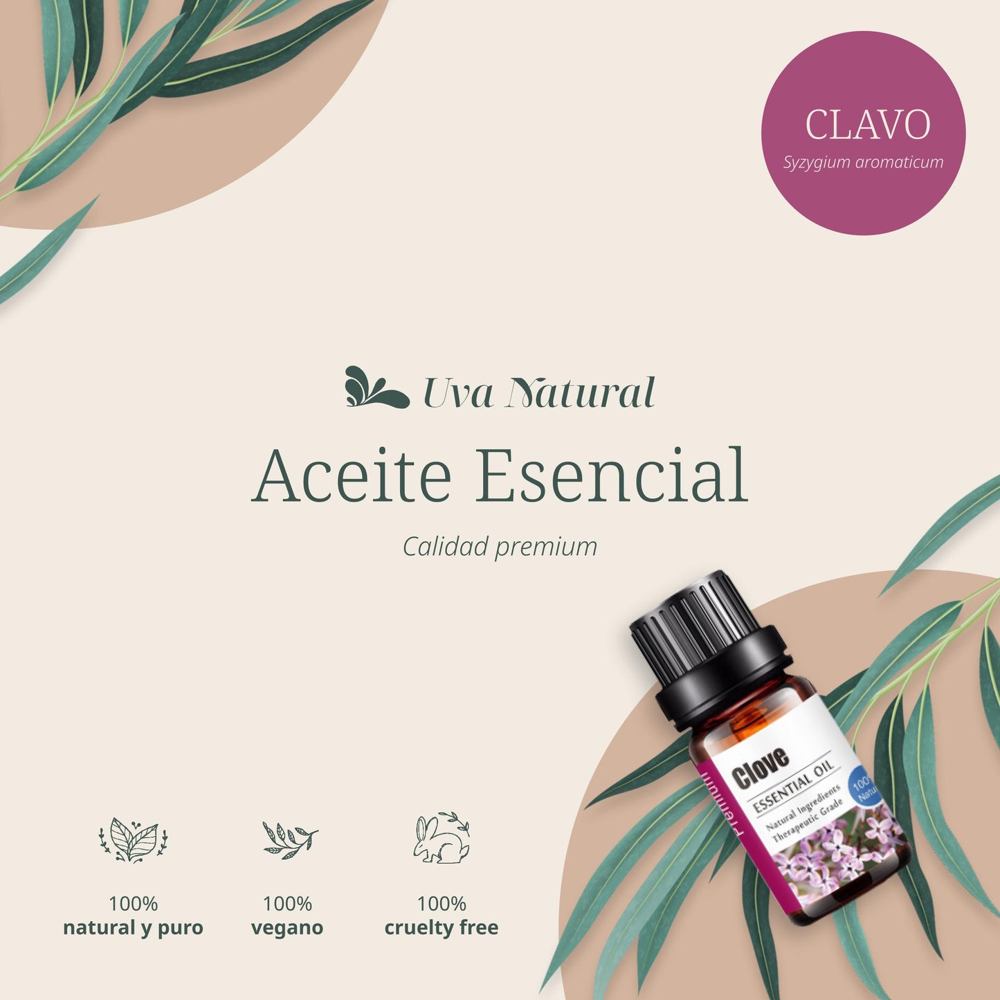 Aceite Esencial de Clavo