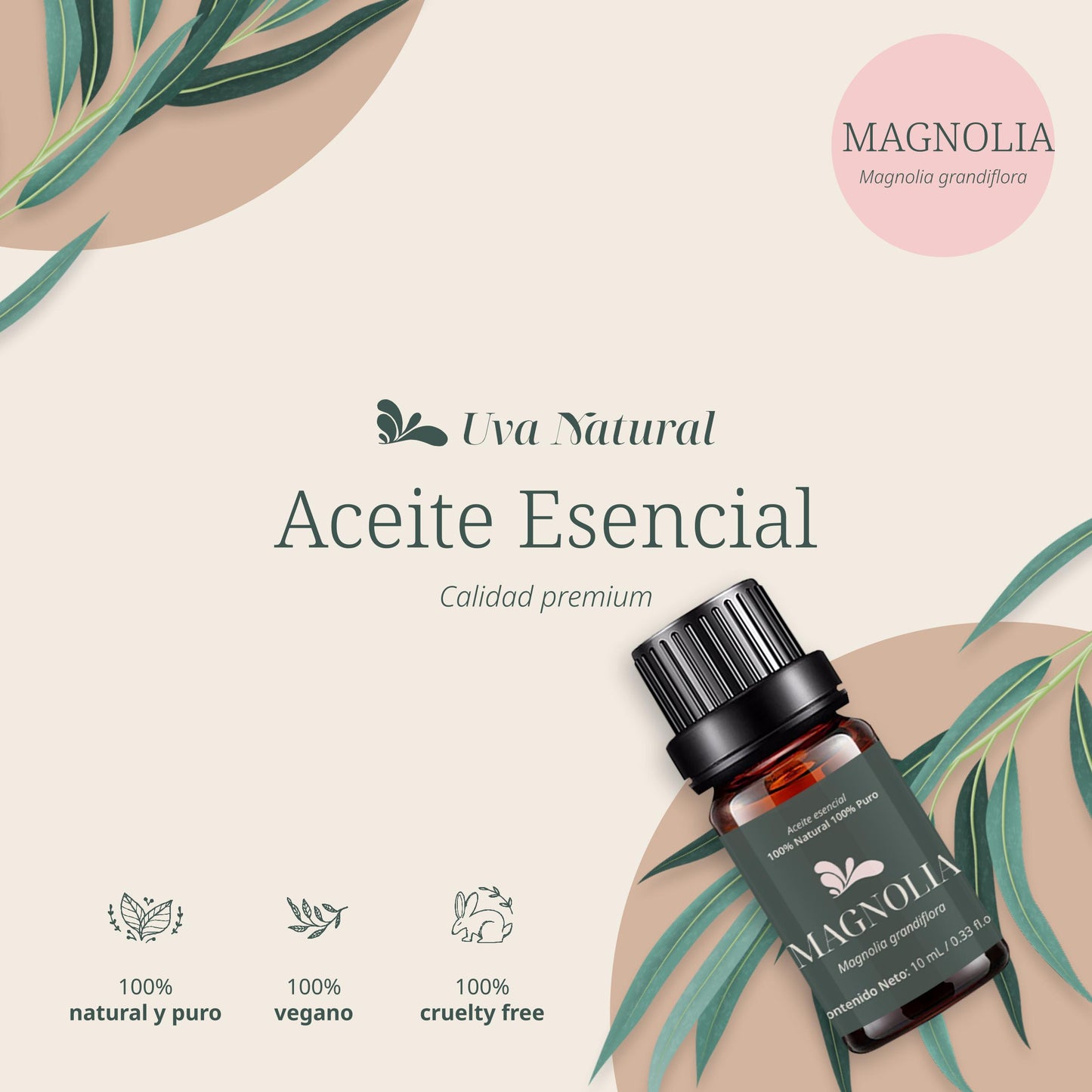 Aceite Esencial de Magnolia