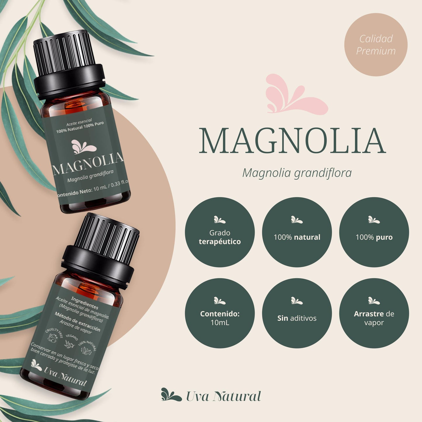 Aceite Esencial de Magnolia