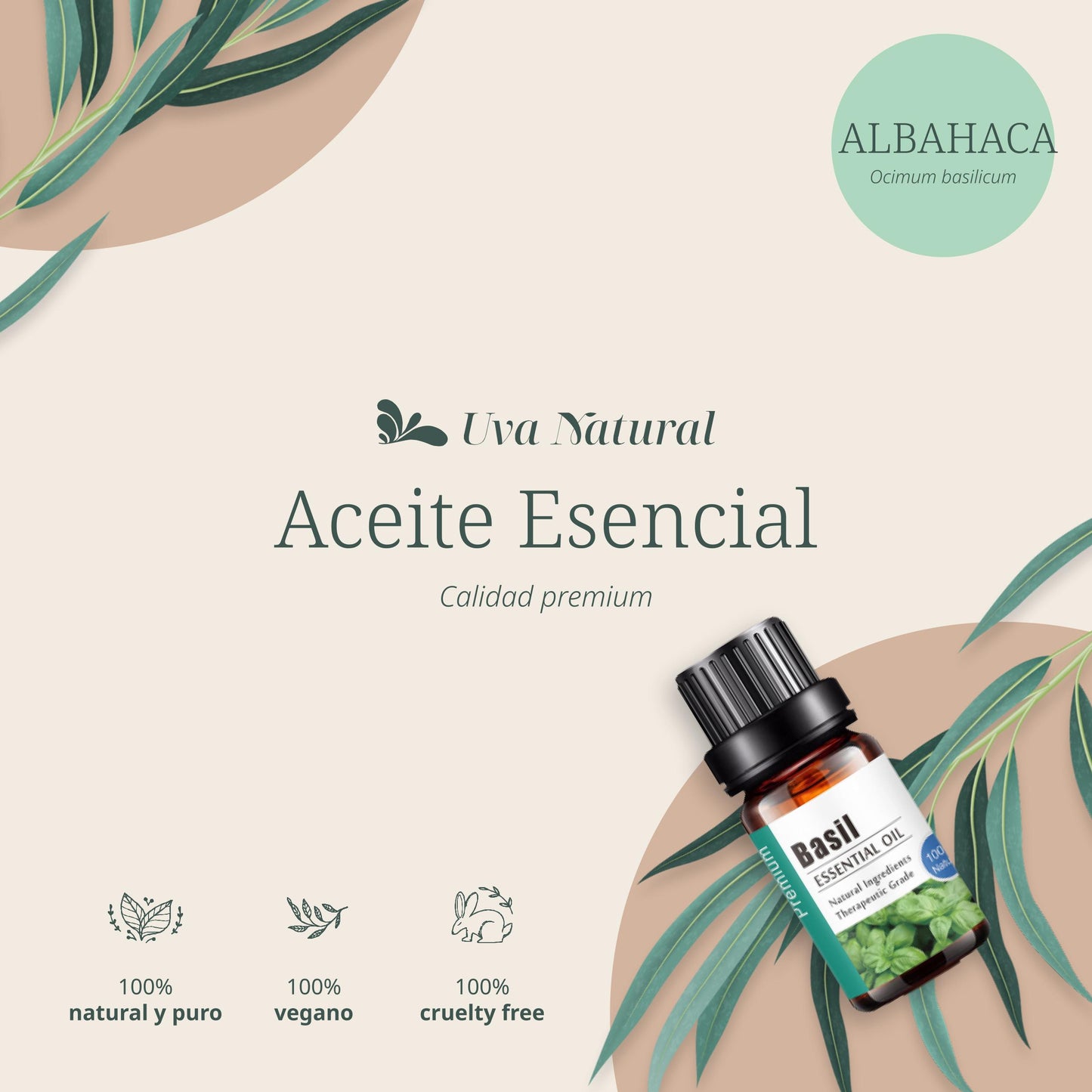 Aceite Esencial de Albahaca