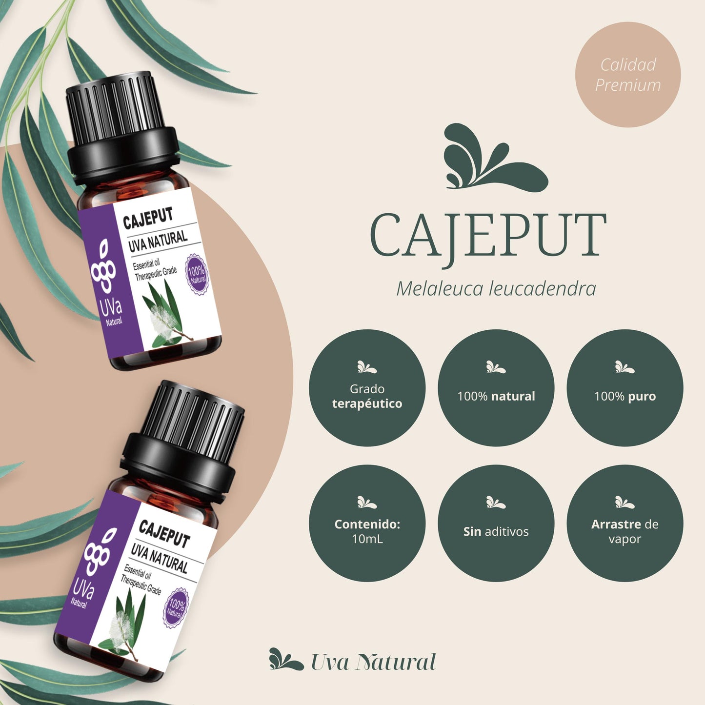 Aceite Esencial de Cajeput