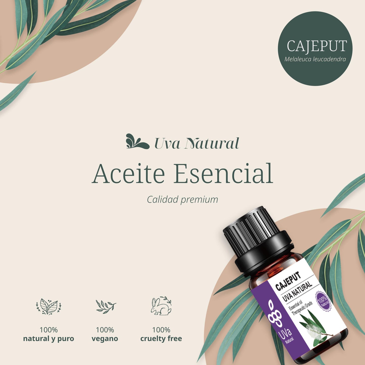 Aceite Esencial de Cajeput