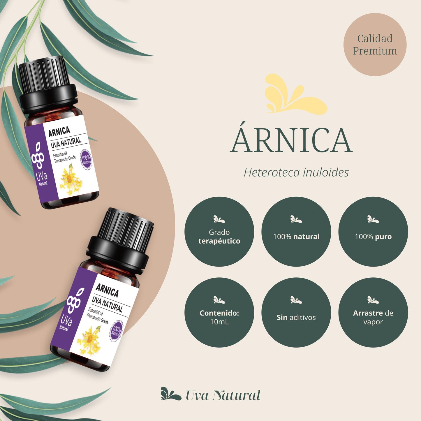 Aceite Esencial de Árnica