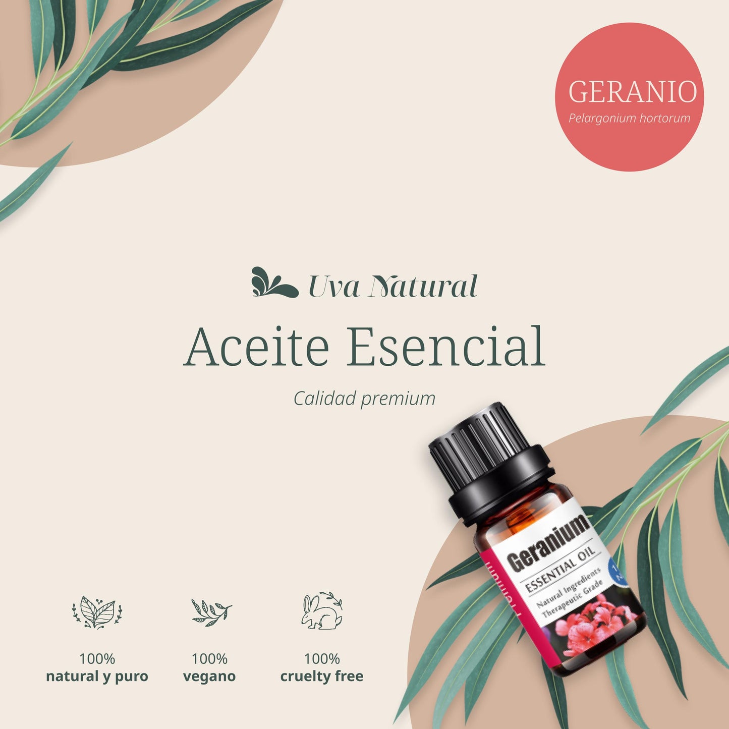 Aceite Esencial de Geranio