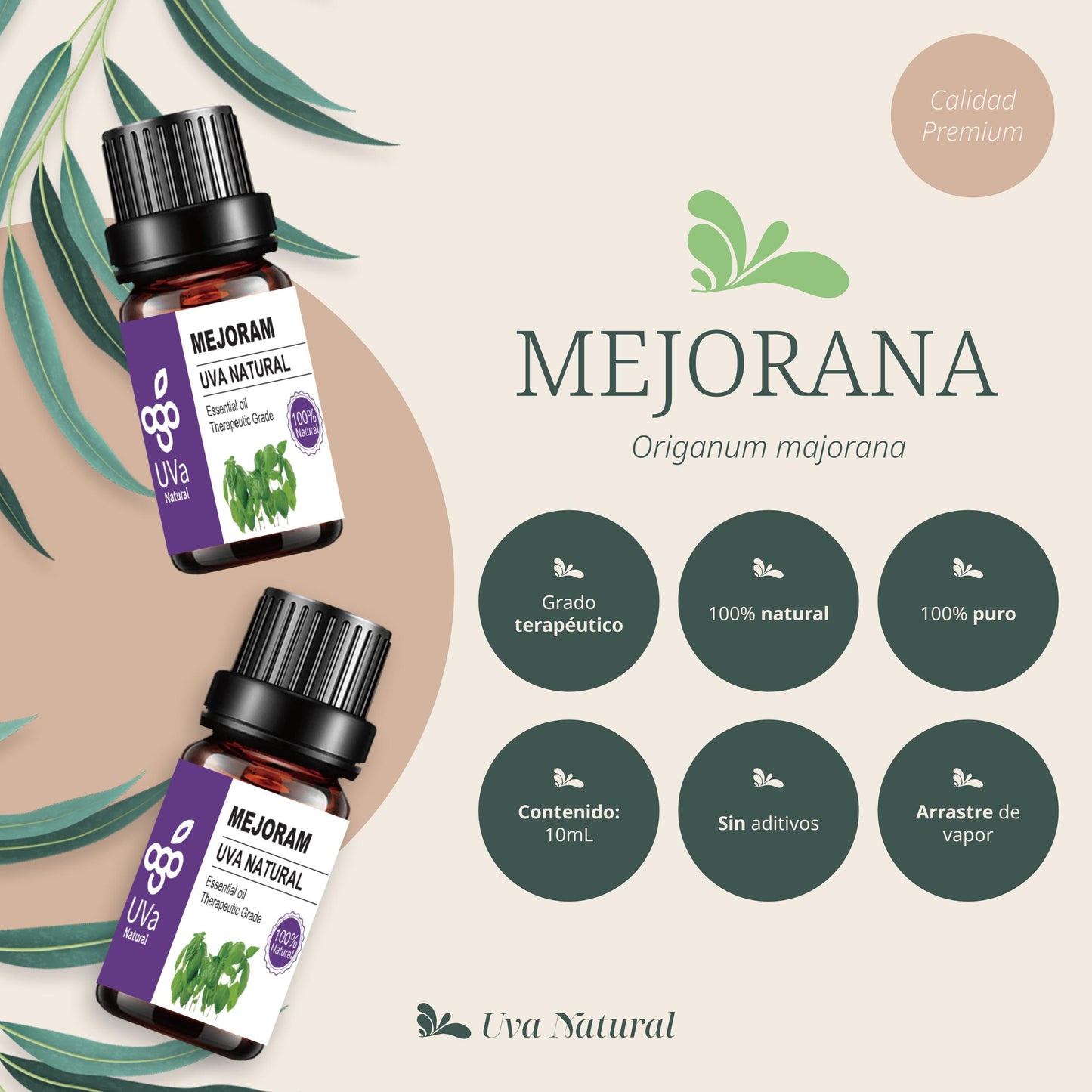 Aceite Esencial de Mejorana