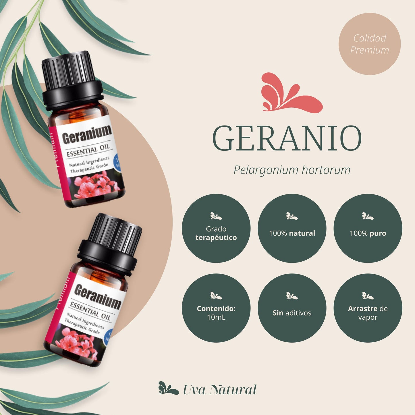 Aceite Esencial de Geranio