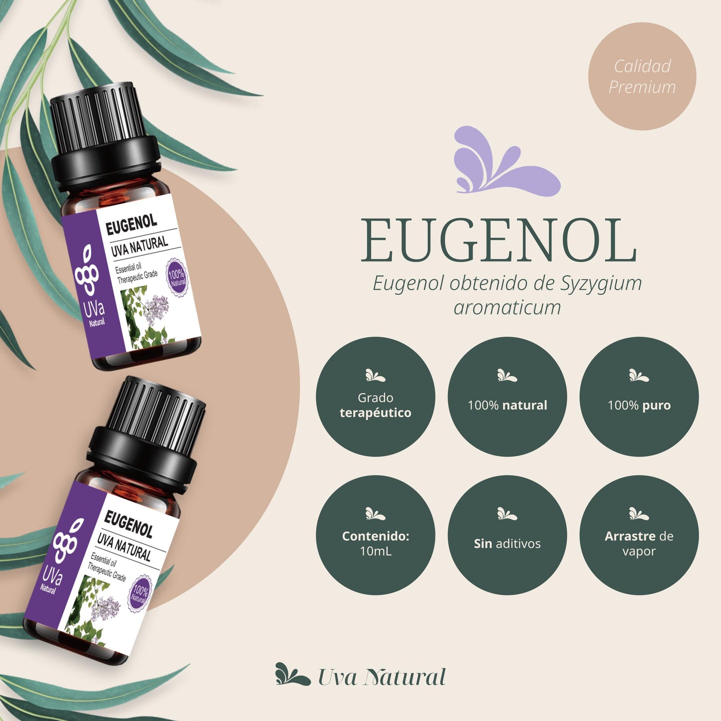 Aceite Esencial de Eugenol