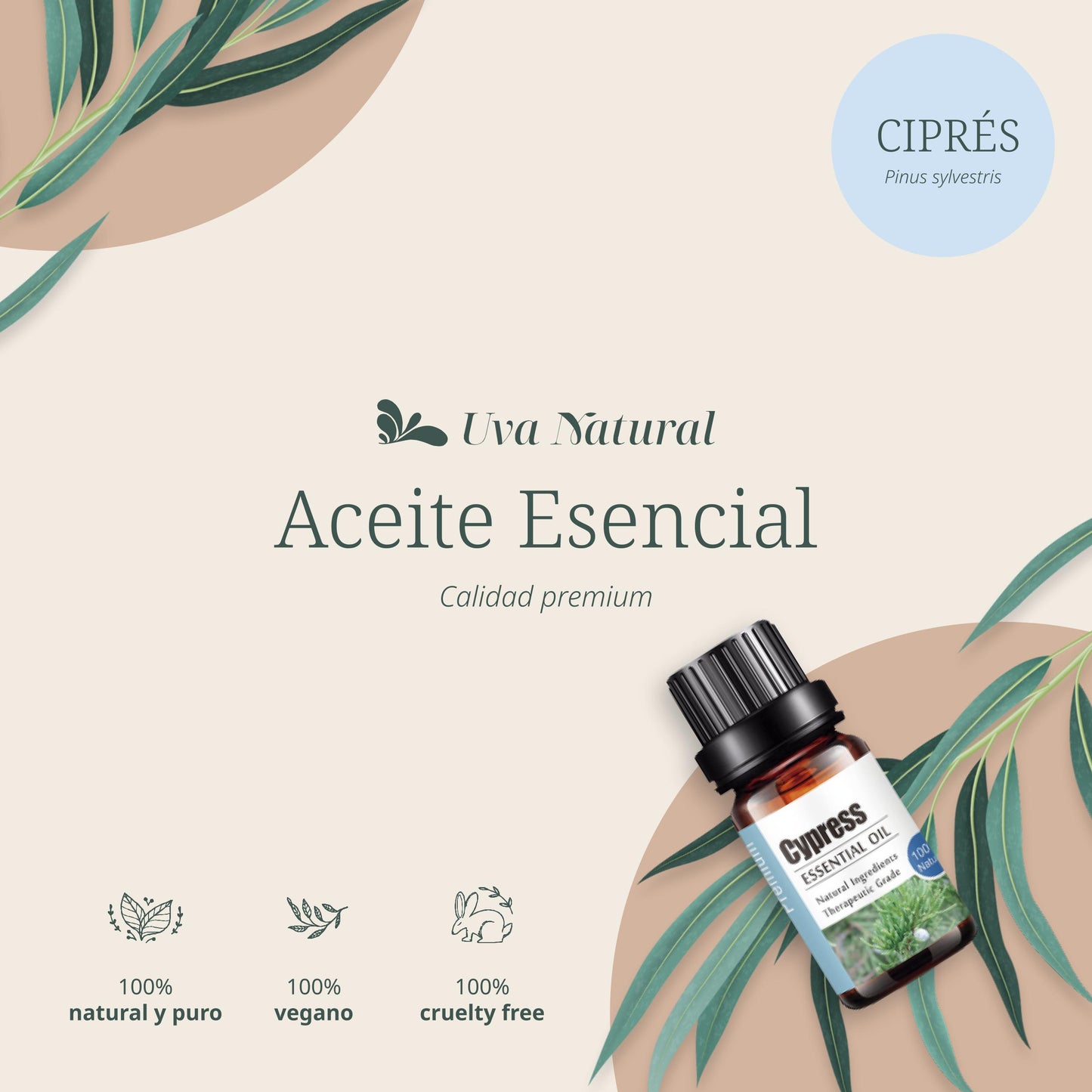 Aceite Esencial de Ciprés