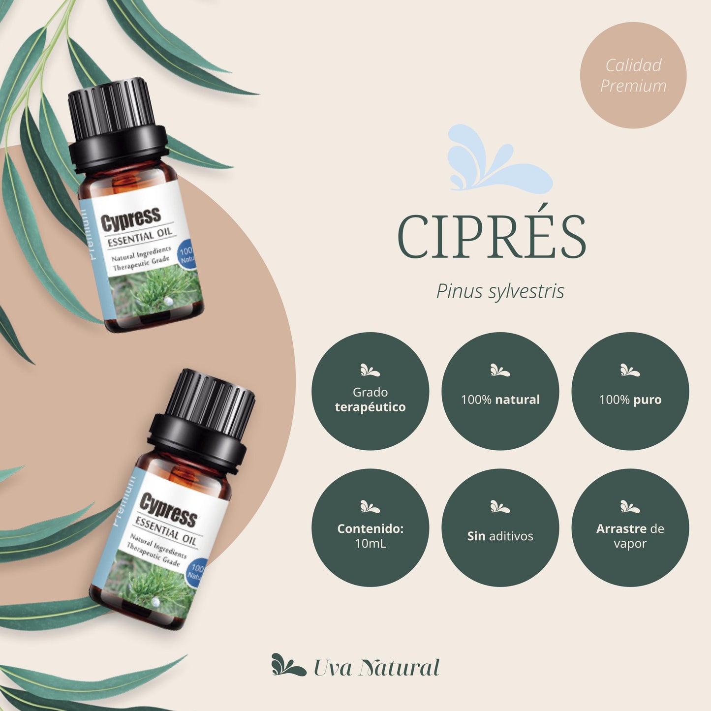 Aceite Esencial de Ciprés
