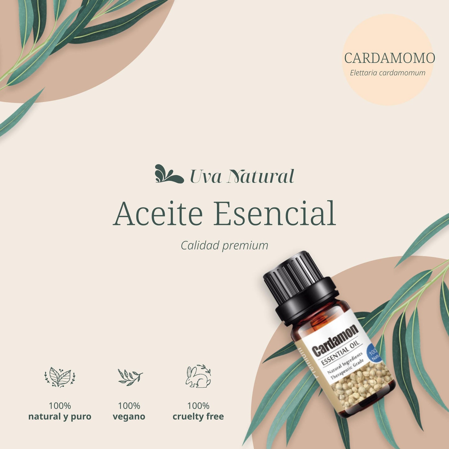 Aceite Esencial de Cardamomo
