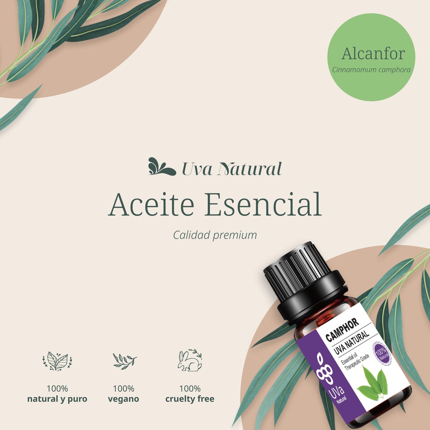 Aceite Esencial de Alcanfor