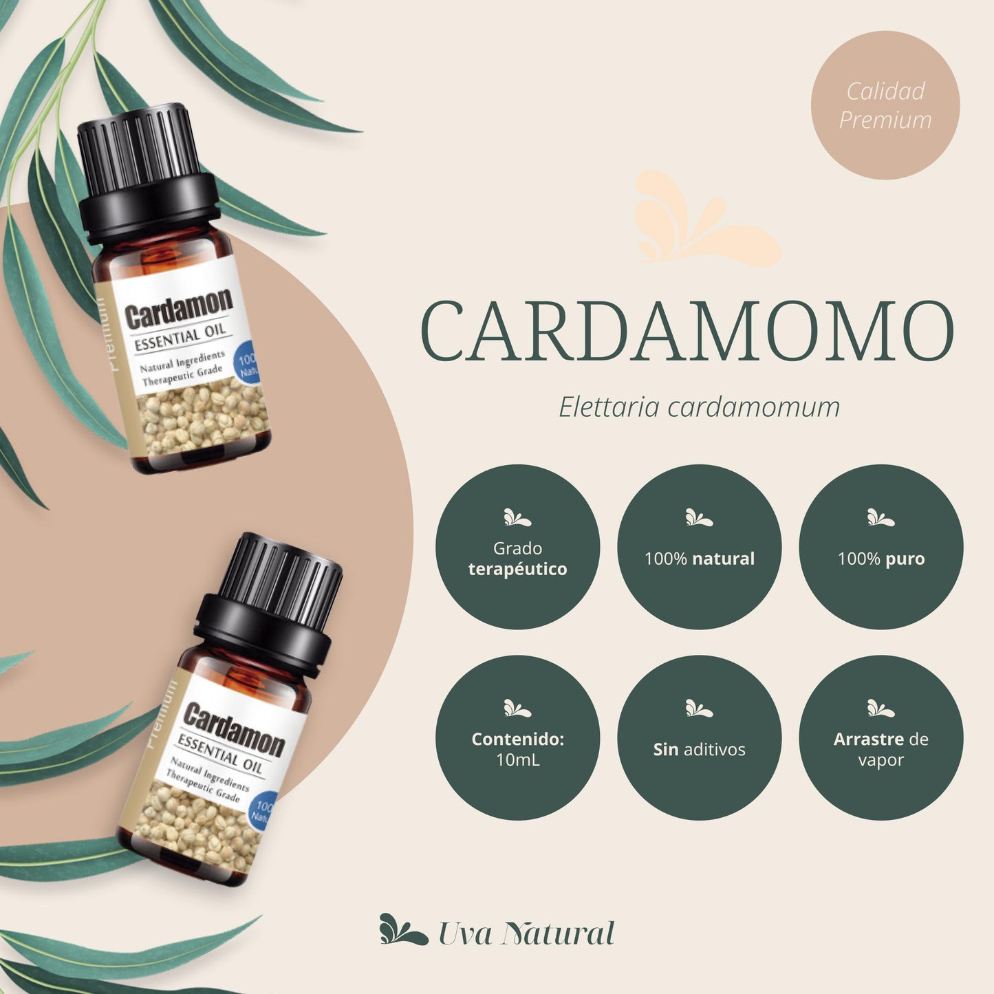 Aceite Esencial de Cardamomo