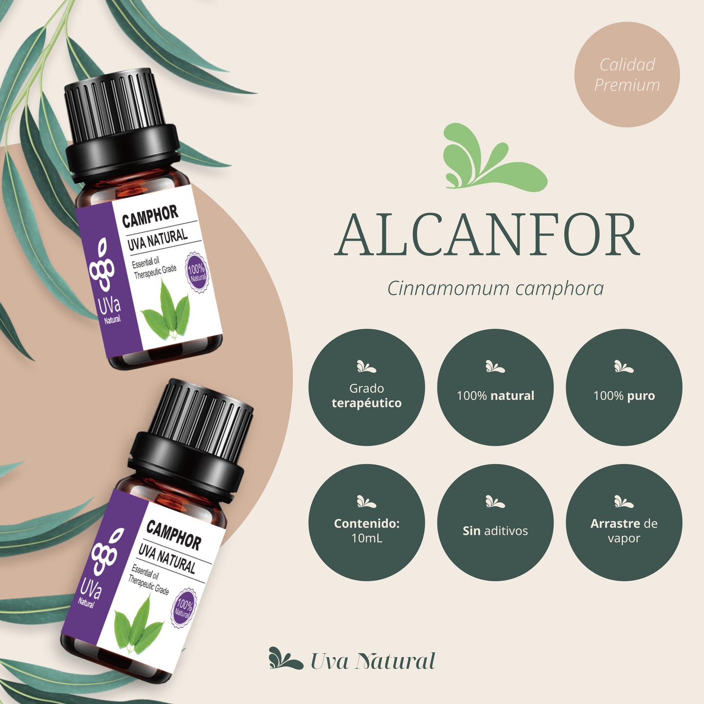Aceite Esencial de Alcanfor