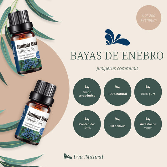 Aceite Esencial de Bayas de Enebro