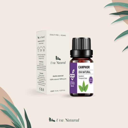 Aceite Esencial de Alcanfor