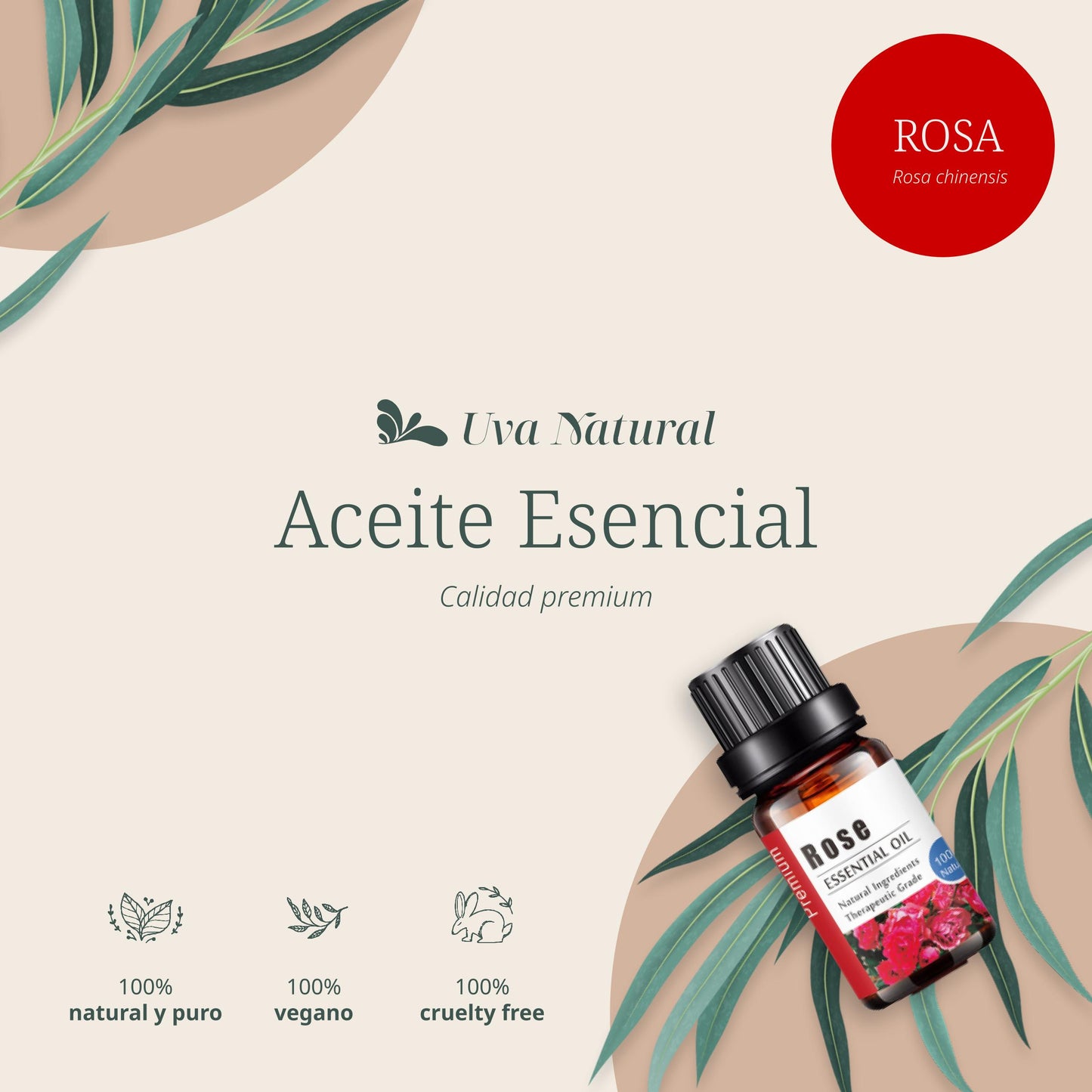 Aceite Esencial de Rosa