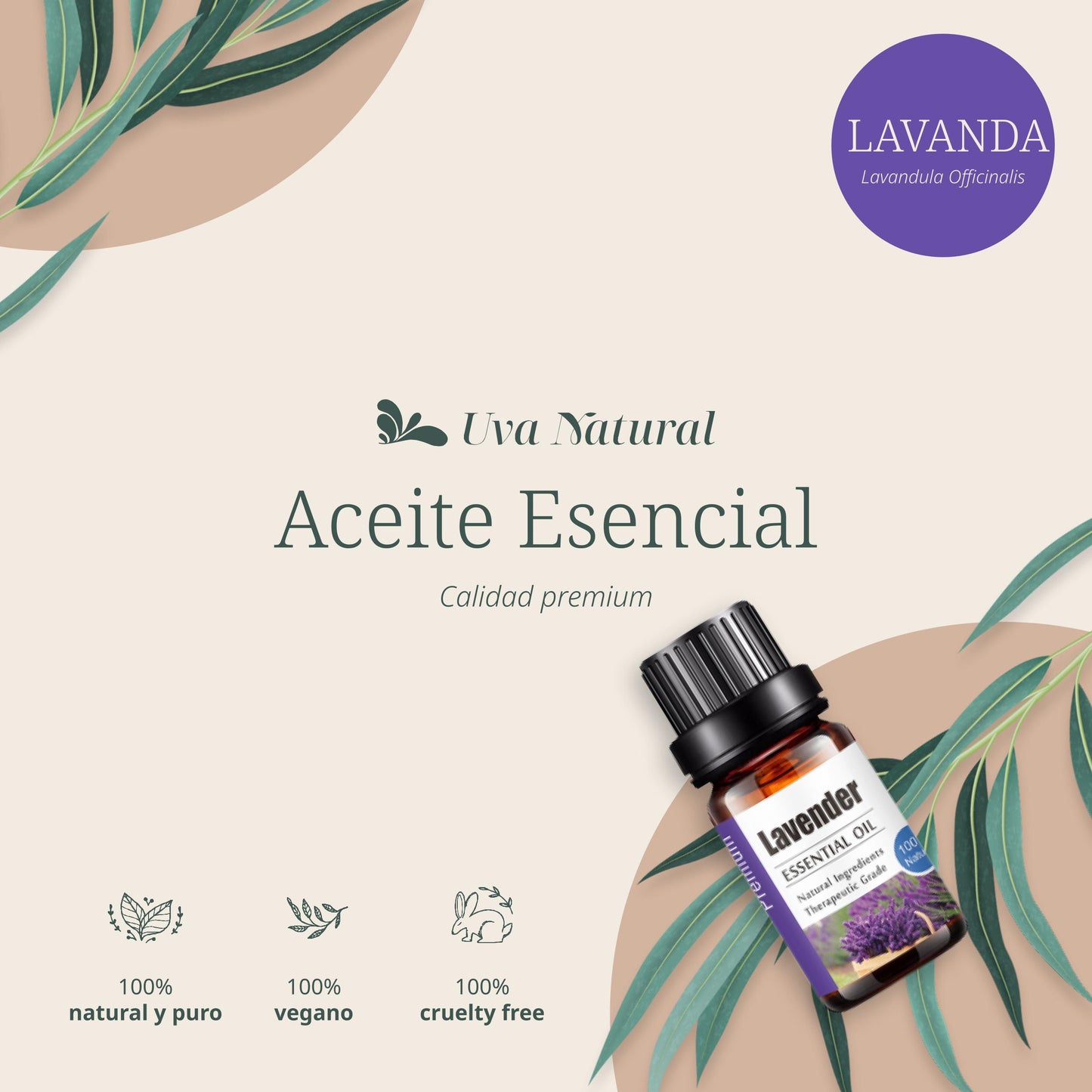 Aceite Esencial de Lavanda