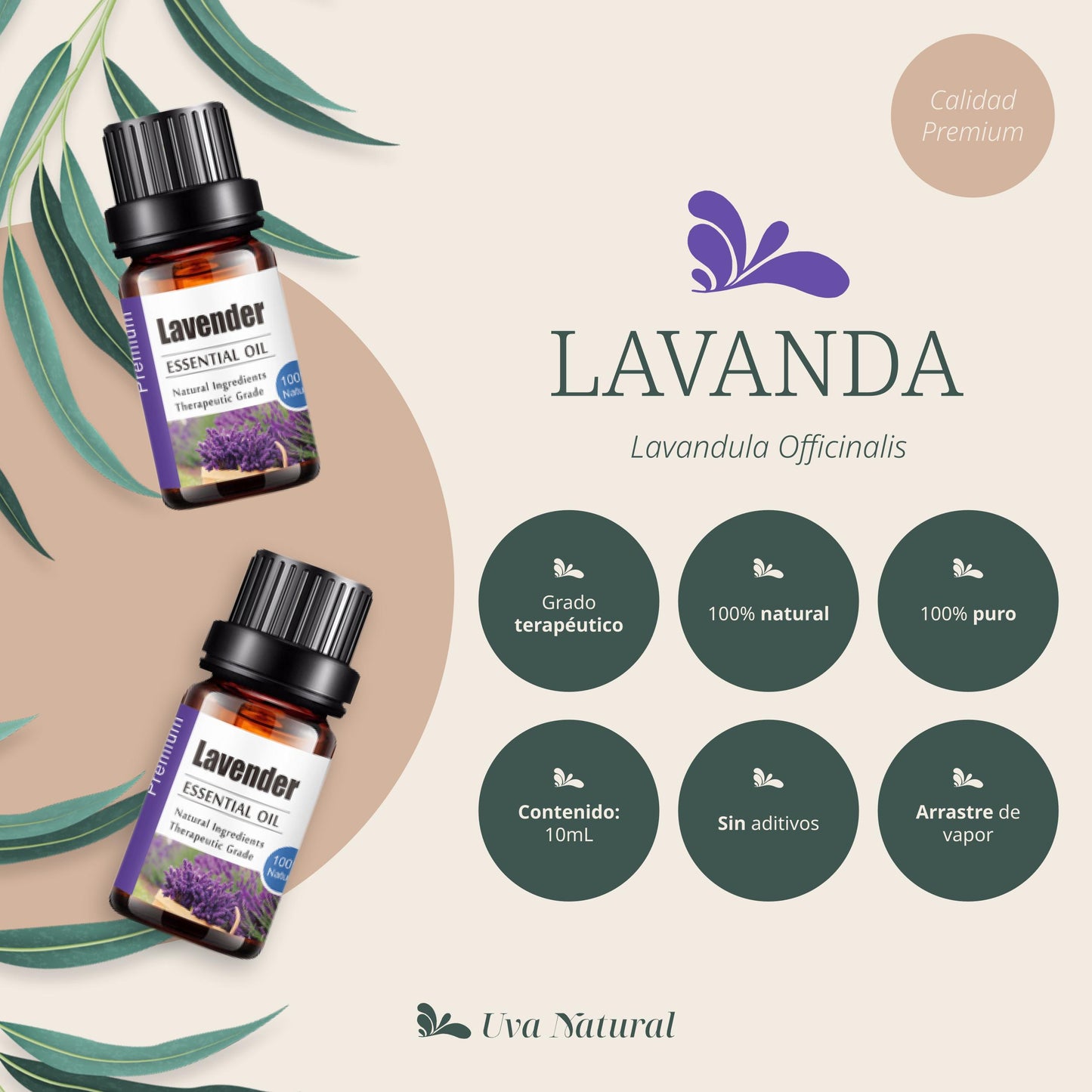 Aceite Esencial de Lavanda