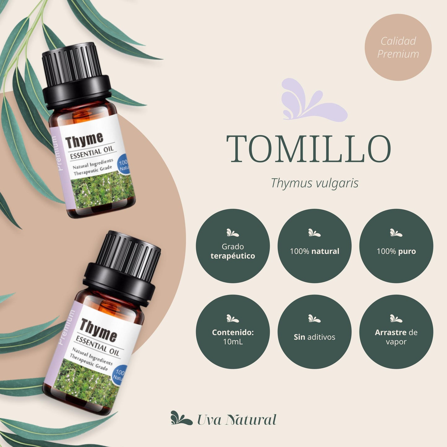 Aceite Esencial de Tomillo
