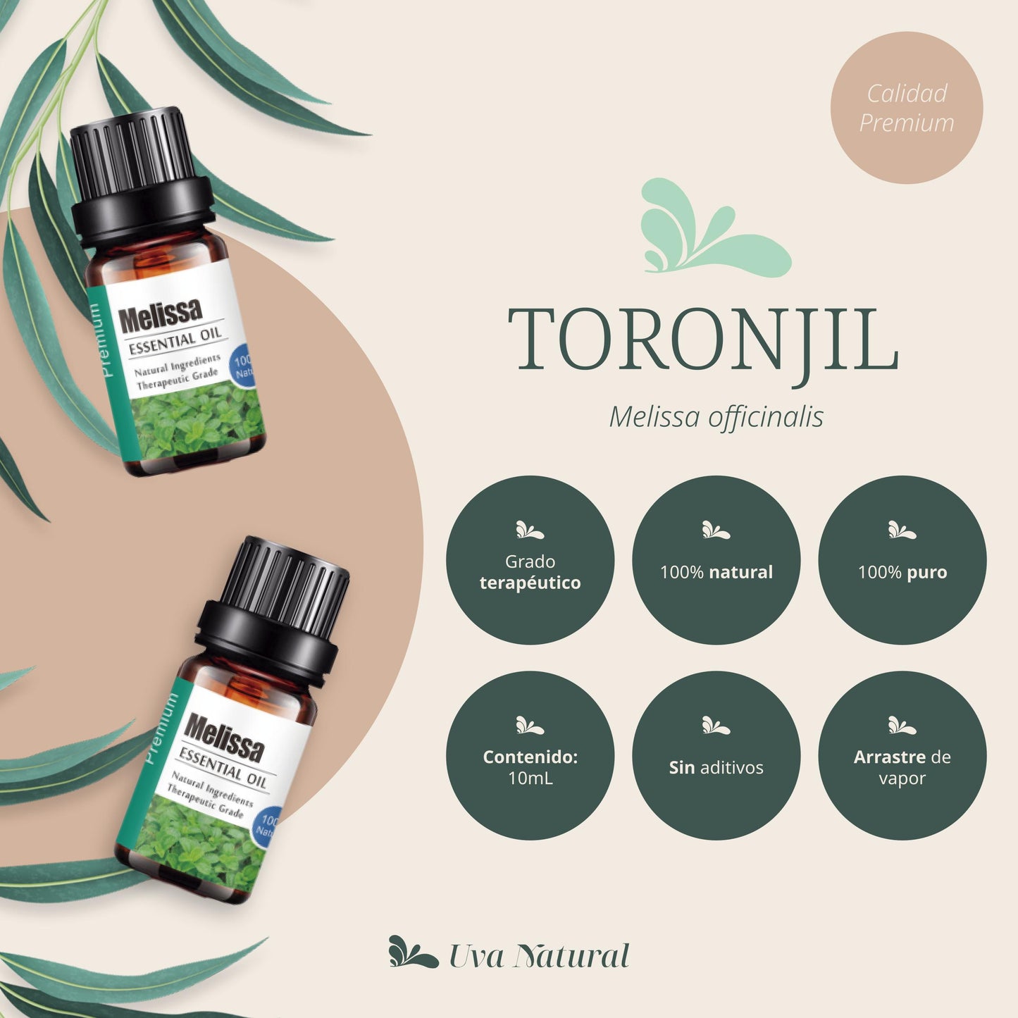 Aceite Esencial de Toronjil