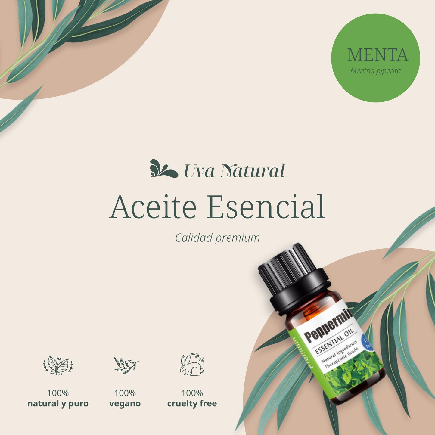 Aceite Esencial de Menta