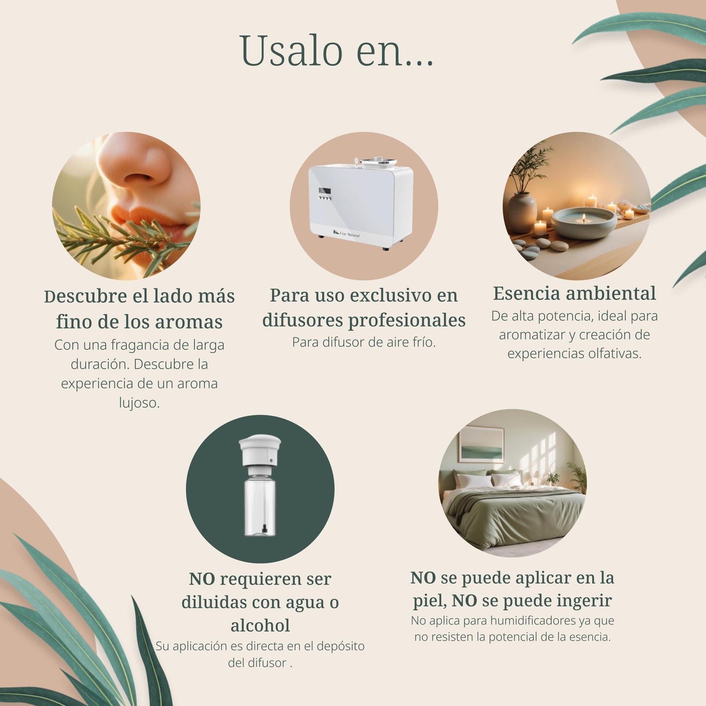 UVA NATURAL - Aceites Esenciales para Difusor de Aire Frío - Aromas de Lujo para el Hogar o Negocio - Aroma de Hotel Collection - Marketing Olfativo - Inspirado en Hoteles de Lujo (120 ml, Latte)