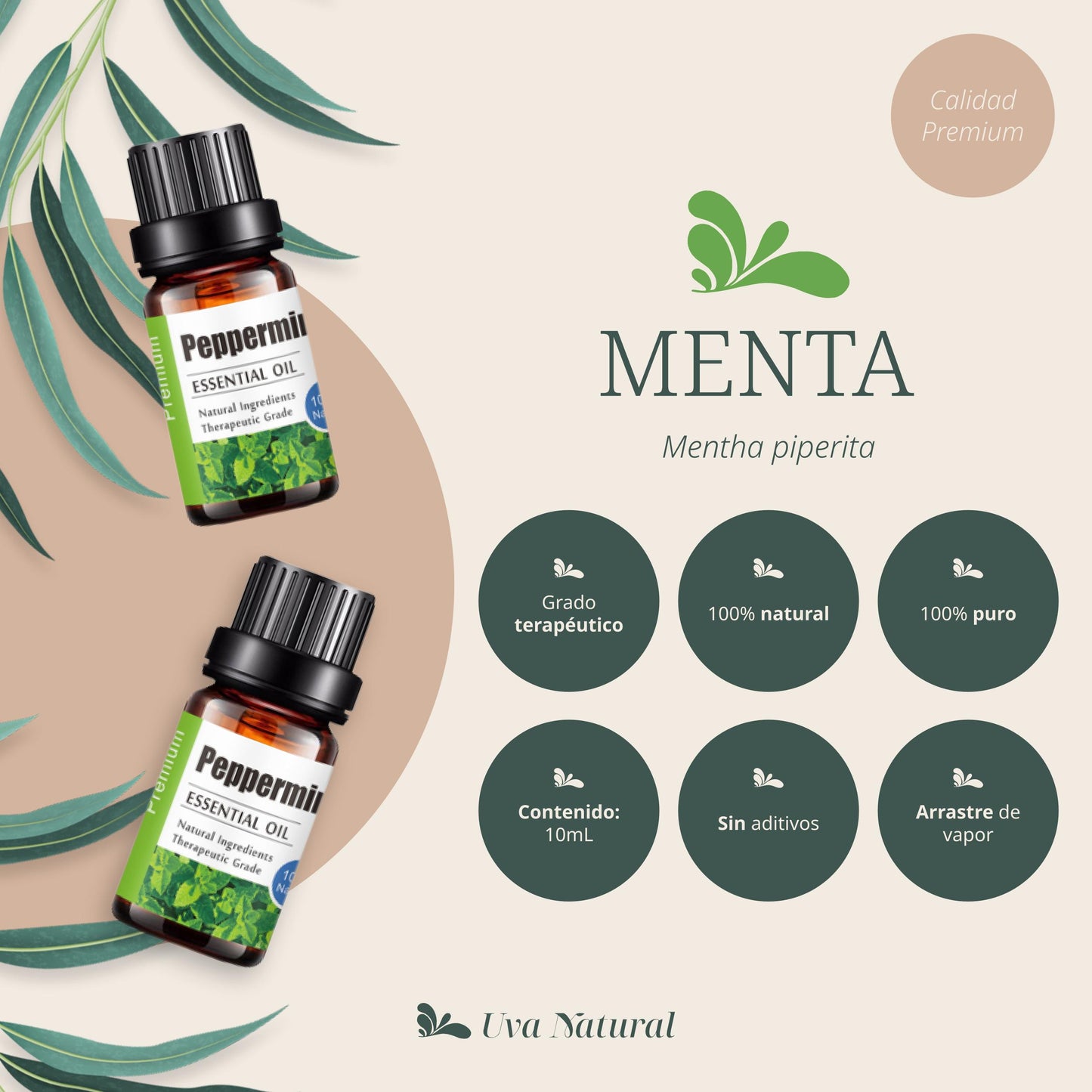 Aceite Esencial de Menta