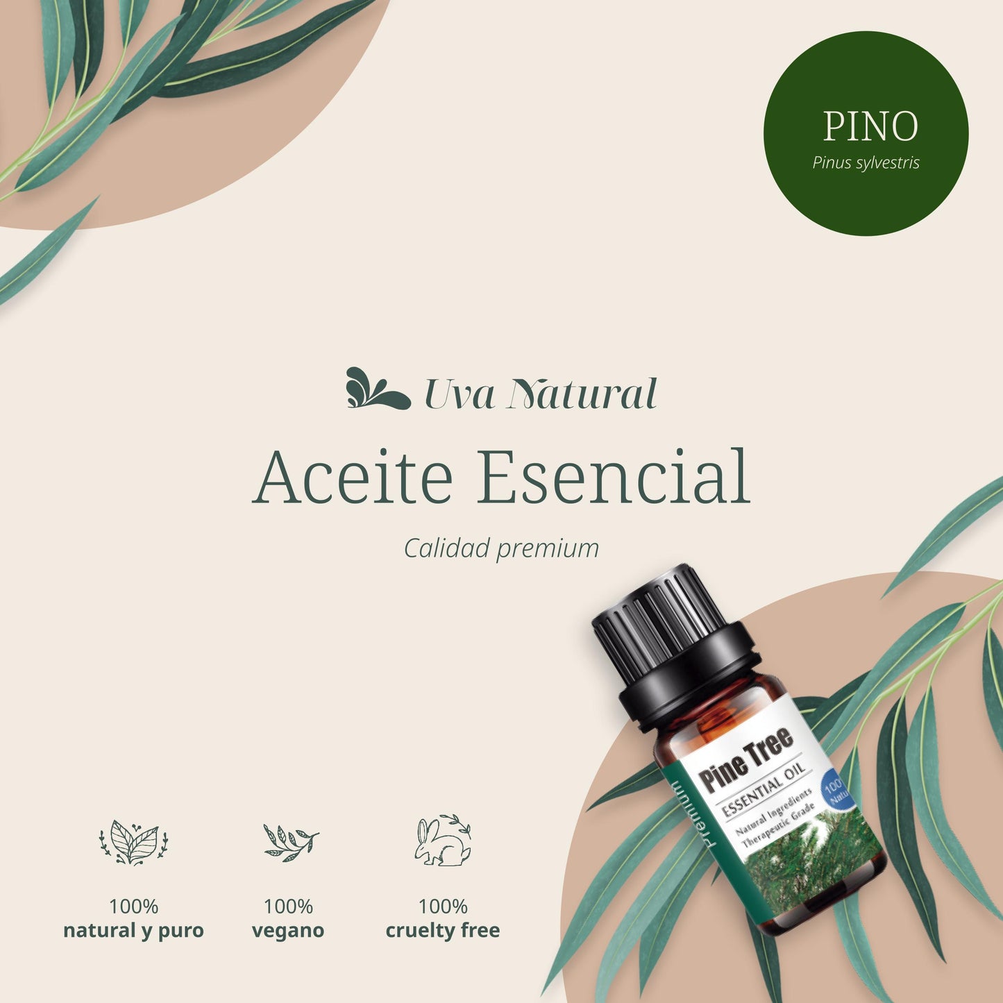 Aceite Esencial de Pino