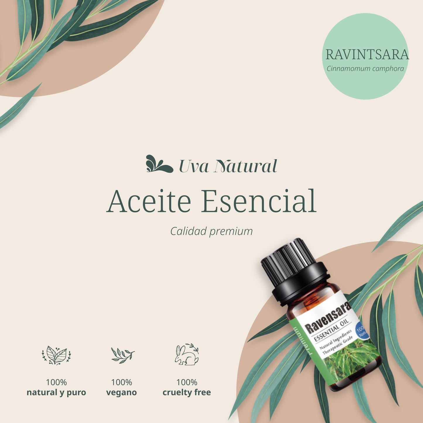 Aceite Esencial de Ravintsara