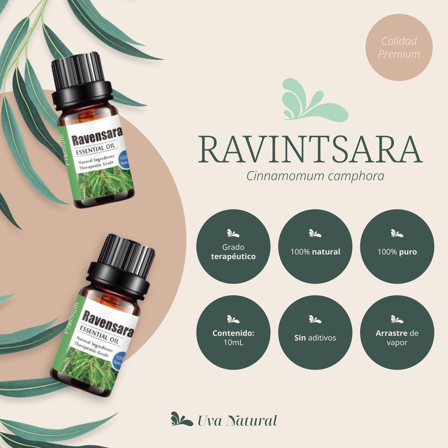Aceite Esencial de Ravintsara