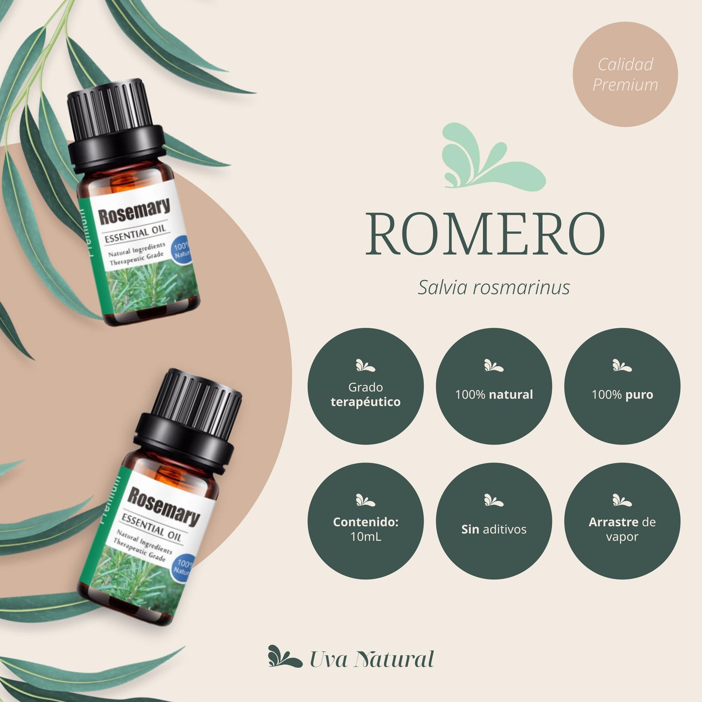Aceite Esencial de Romero
