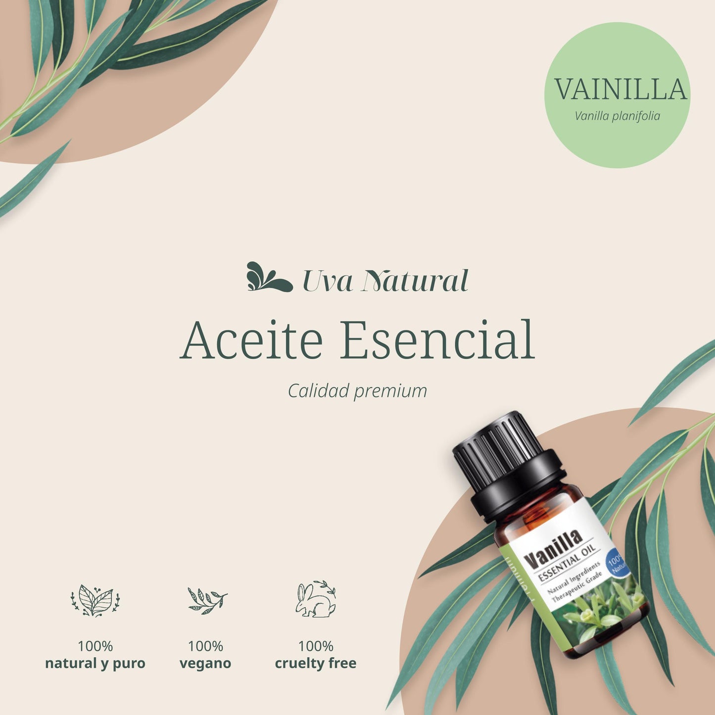 Aceite Esencial de Vainilla