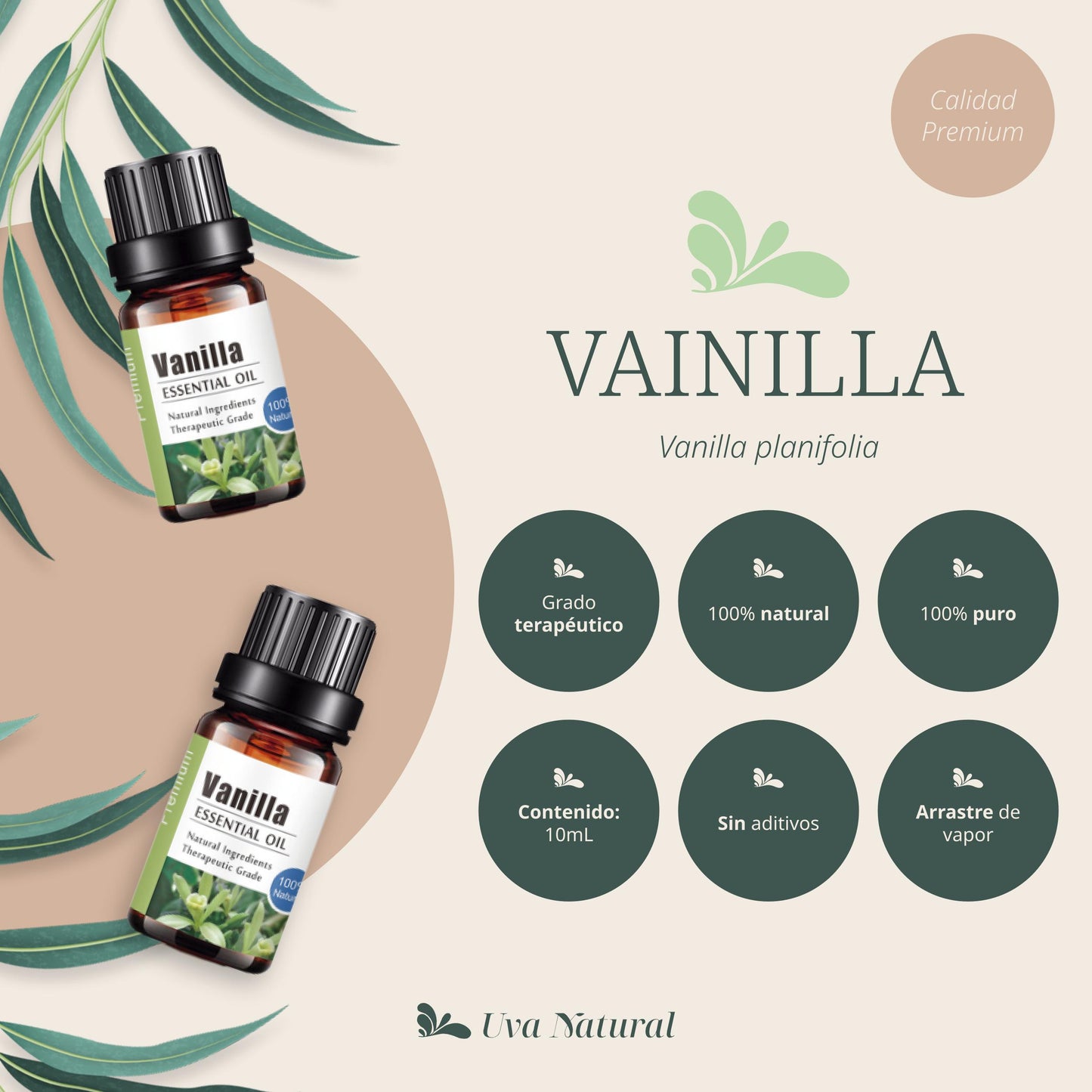 Aceite Esencial de Vainilla
