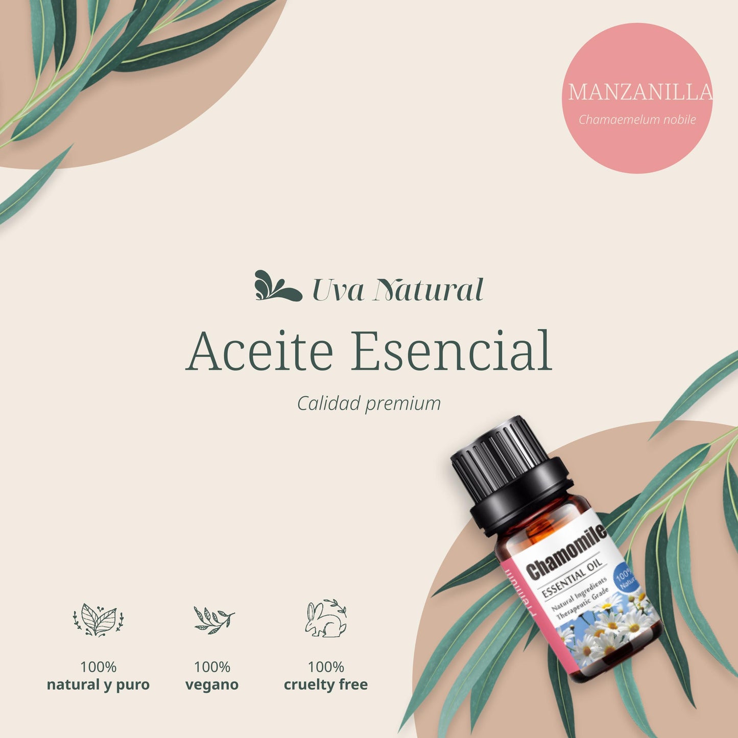 Aceite Esencial de Manzanilla