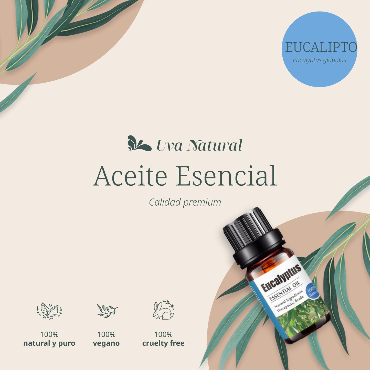 Aceite Esencial de Eucalipto
